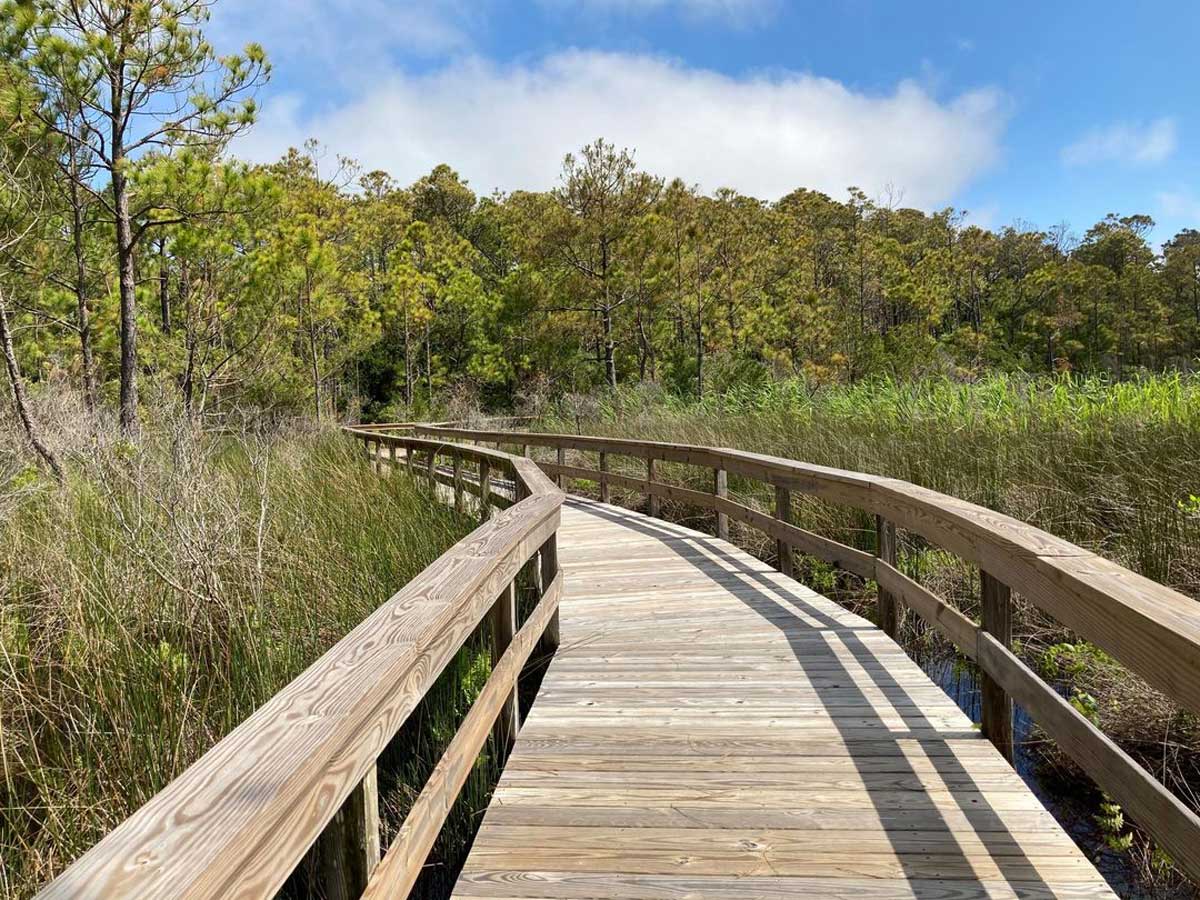 Thing To Do Ocracoke Island Experiences